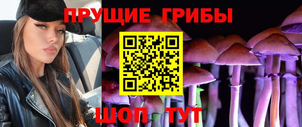 Псилоцибиновые грибы Psilocybine cubensis  Вход с VPN  Майский 